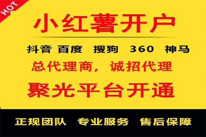 SEM广告投放策略：成功案例解析